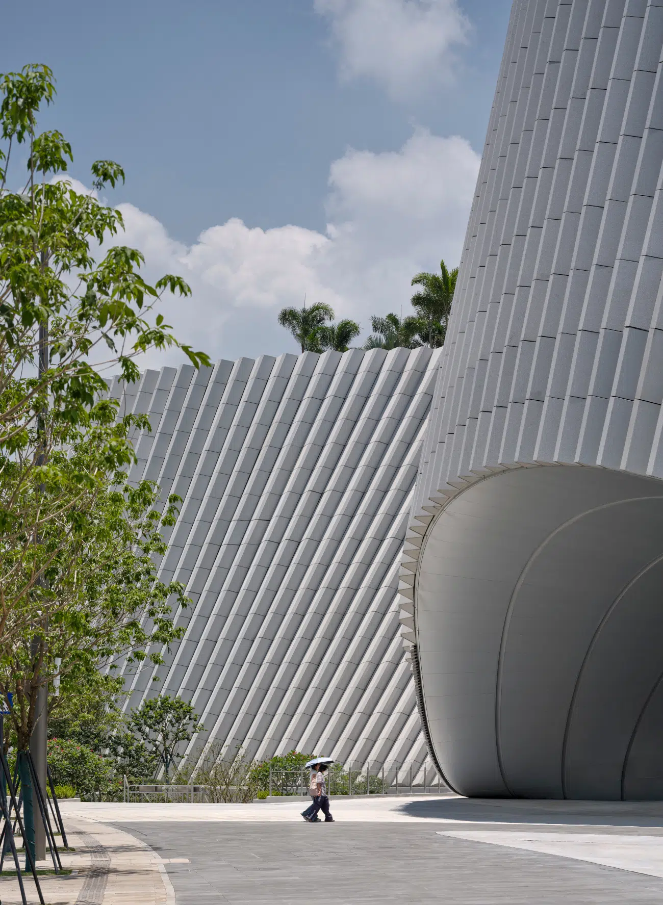 Shenzhen Natural History Museum